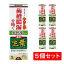 【まとめ買い】 小林製薬 生葉 しょうよう 無研磨タイプ 歯槽膿漏を防ぐ 95g 5本 セット 歯磨き粉 ハミガキ 電動歯ブラシ 歯槽膿漏 【医薬部外品】