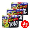 【在庫有・即納】【まとめ買い】 エステー 脱臭炭 冷蔵庫用 強力2倍 大型 240g×3個セット　冷蔵庫 消臭 大型 だっしゅうたん 炭 庫内 ニオイ