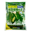 花ごころ 観葉植物の土 2L 園芸 培養土 土 ガーデニング