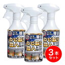 【まとめ買い】允・セサミ 技職人魂 カビ取り職人 スプレーボトル 500ml 本体×3本セット 強力カビ除去剤 排水溝/タイル目地/パッキン
