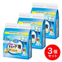 【まとめ買い】花王 リリーフ パンツタイプ まるで下着 2回分 L 2枚×3個セット ホワイト 超うす型 ムレにくい 強力消臭 大人用 紙おむつ