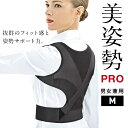 La-VIE(ラヴィ) 美姿勢PRO M 3B-3309 トレーニング 健康器具 癒し リラックス