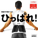 La-VIE(ラヴィ) 骨盤ガチ締めベルト ひっぱれ!L-XL 3B-...(4)