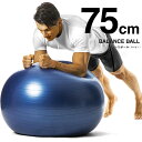 La-VIE(ラヴィ) バランスボール 75cm ネイビー 3B-4132 トレーニング 健康器具 癒し リラックス