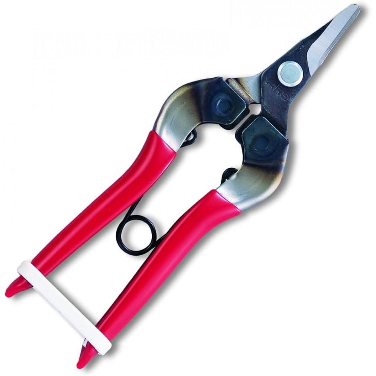 アルス 芯切鋏 ブリスターパック入り 310-D-K-BP 野菜 果樹 茎