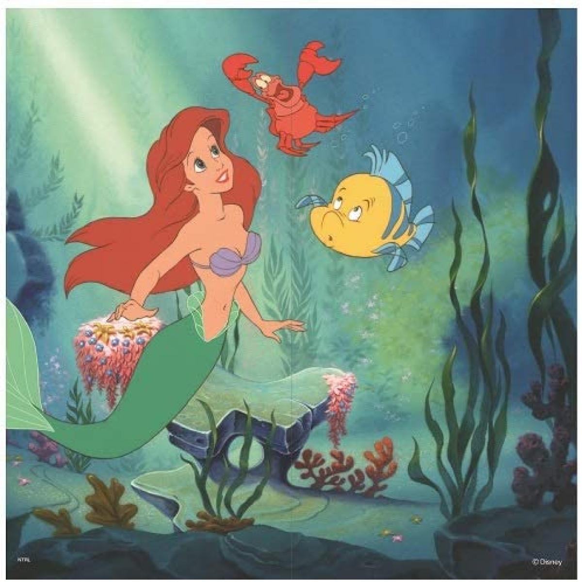 アサヒペン ふすま紙 ディズニープリンセス リトルマーメード NTLP-016F 92cm×182cm 2枚1組 襖紙 襖張..