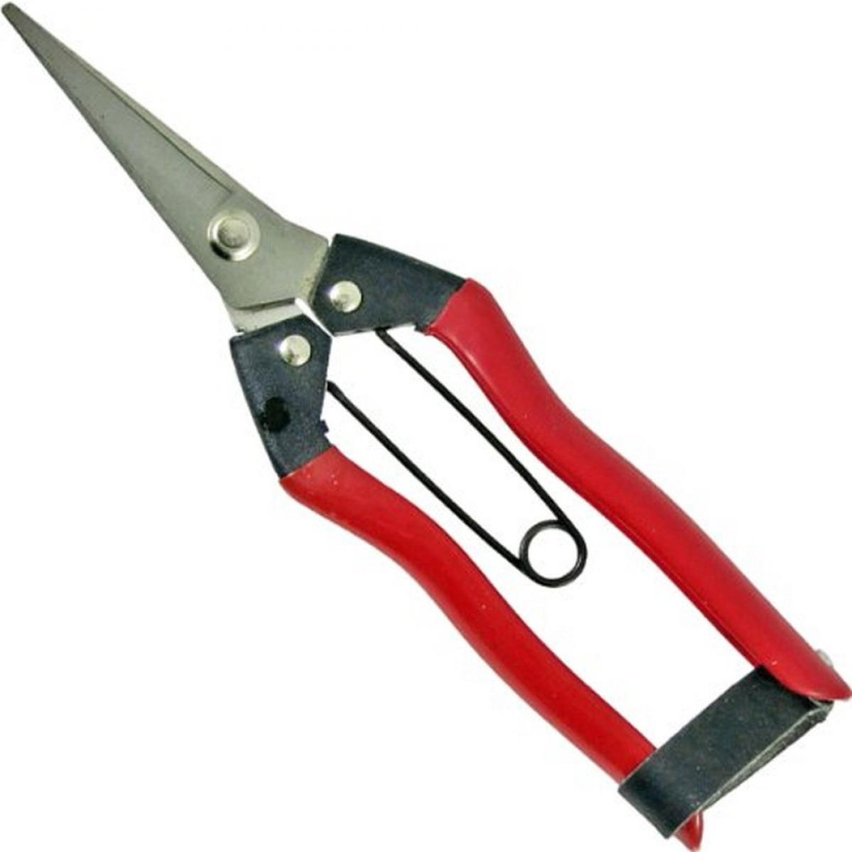 永吉 ステン摘果鋏 185mm