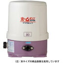 【送料無料】 浅井戸用 ホームポンプ THP-81KS 60Hz 井戸 水汲み 水くみ ポンプ 家庭用 給水ポンプ 井戸ポンプ 井戸用ポンプ 電動ポンプ