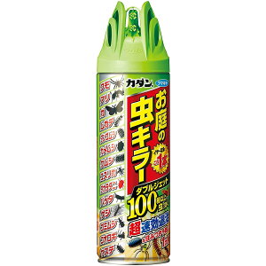 フマキラー カダン 殺虫剤 害虫 駆除 庭用 虫キラー ダブルジェット スプレー 480ml 花壇 ガーデニング 害虫対策