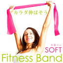 〒 La-VIE(ラヴィ) フィットネスバンド ソフト 3B-3011 トレーニング 健康器具 癒し リラックス 【日時指定・代引不可】(4)