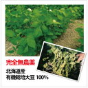 だいずデイズ 公式 有機蒸し大豆 100% (100g×10袋) 国産 オーガニック 有機JAS認証 北海道産 日本産 安心 野菜 食材 料理 惣菜 大豆ファースト ソイファースト ベジタリアン ビーガン マクロビ サラダ 豆 小袋 ダイエット 大豆ミート 2