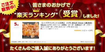 【ランキング5位受賞】【レッドアベンチュリン(天然)】 さざれ 約5x8-15mm 1連(約86-90cm)【パワーストーン・天然石・ビーズ・天然石ビーズ・パワーストーンビーズ・パワ−スト−ン・パワ-スト-ン】