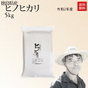 新米 令和2年産 徳島県産 キヌヒカリ 米 5kg 送料無料お米 白米