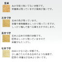 令和5年産 高知県産 東洋町 コシヒカリ 米 5kg(玄米時重量) 送料無料お米 分つき米 玄米 3