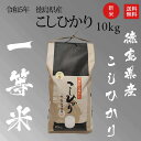 新米 令和5年 徳島産 一等米 コシヒカリ10kg 白米