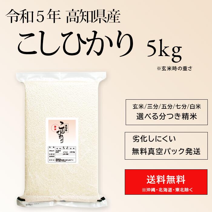 令和5年産 高知県産 東洋町 コシヒカリ 米 5kg 玄米時重量 送料無料お米 分つき米 玄米