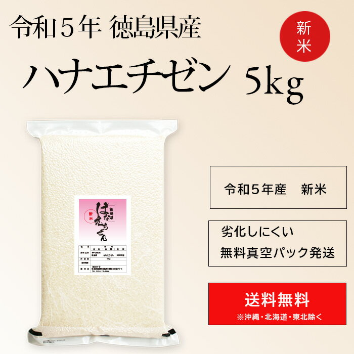 令和5年 徳島産 ハナエチゼン 5kg 白米 真空パック