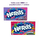 NeRds Candygrape strawberry rainbow(1 1) 2点 セット 各141g ナーズ ロープグミ レインボー グレープストロベリー ASMR SNS youtube TikTok インスタ マシッソ 韓国モッパン 海外 海外お菓子 海外の味 楽しいお菓子 キャンデイ