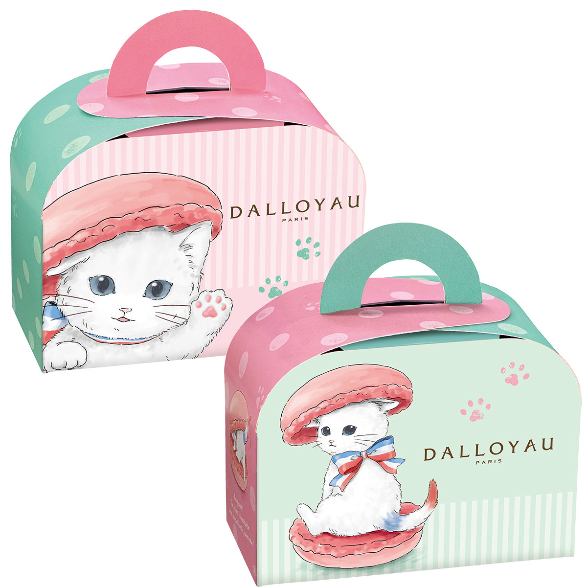 ダロワイヨ ニャカロン詰め合わせ（5個入）ねこ 猫 ネコ ギフト 洋菓子 スイーツ マカロン プレゼント かわいい 卒業 卒園 退職 入園 入学 春 キャラ 祝い バースデー おしゃれ