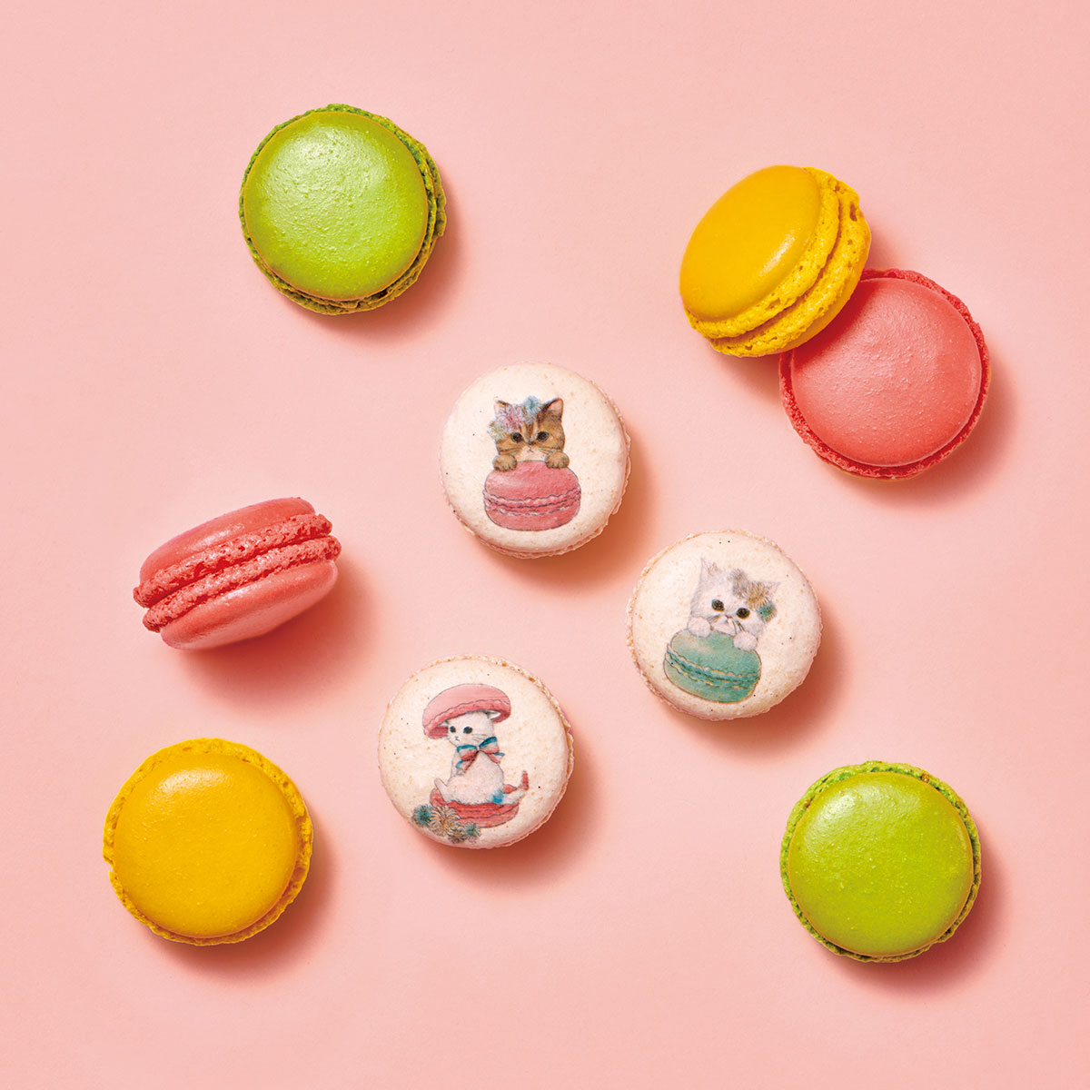 ポール ＆ ジョー × ダロワイヨ ニャカロンミャオ詰め合わせ（6個入）ねこ ネコ ギフト 洋菓子 焼き菓子 スイーツ プリント マカロン プレゼント ギフト 贈り物 かわいい 退職 お取り寄せ 差し入れ 手土産 人気 有名 ブランド コラボ バレンタイン ホワイトデー 猫の日のサムネイル