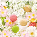 マカロン フルール詰め合わせ(6個入)ギフト 洋菓子 焼き菓子 スイーツ マカロン プレゼント ギフト 贈り物 かわいい 御礼 御祝 お取り寄せ 差し入れ 手土...