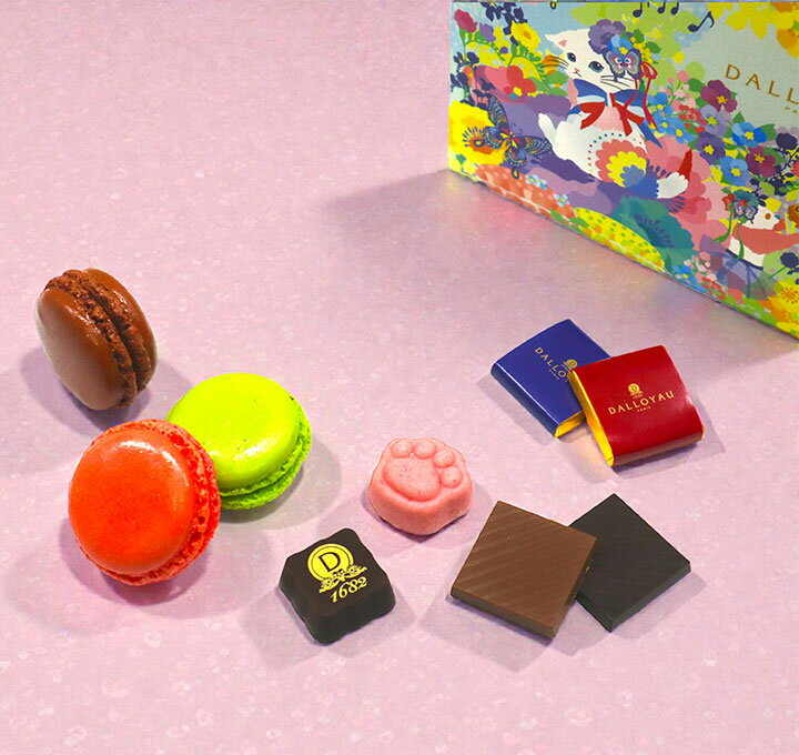 ダロワイヨ ショコラニャカロン詰め合わせ ドゥバレンタイン ホワイトデー 洋菓子 焼き菓子 スイーツ お菓子 プレゼント ギフト チョコレート ショコラ マカロン 本命 御祝 御礼 義理 御礼 個包装 可愛い 期間限定 お取り寄せ 差し入れ 手土産 人気 ご褒美 猫 ネコ ねこ