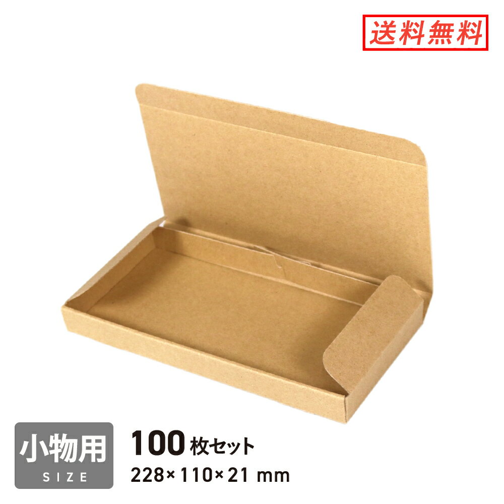 【ネコポス（最小サイズ）・定形外郵便】厚さ2.5cm・N式ケース 100枚セット