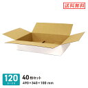 ダンボール (段ボール箱) 薄型(白) 宅配100サイズ 【490 × 340 × 深さ 100 mm】 40枚セット