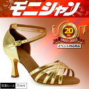 【20周年SALE】社交ダンス ダンスシューズ サルサ DFL3312 タンゴ ジャズ レディース モニシャン 価格は無地価格です ダンス 靴 送料無料