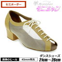 社交ダンス シューズ モニシャン レディース ダンス シューズ 本革 メッシュ 女性 ティーチャーズ レッスン 練習 靴 セミオーダー 発表会 パーティー 冠婚...