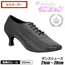 社交ダンス シューズ モニシャン ダンス シューズ 本革 女性 ティーチャーズ レディース ダンス 靴 発表会 セレモニー パーティー 冠婚葬祭 結婚式 ルオニ...