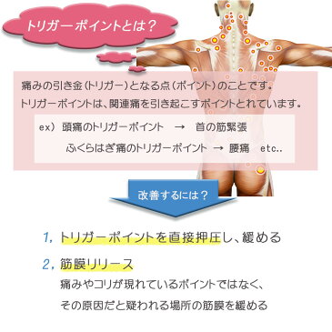 トリガーポイント マッサージボール ピーナッツ ZCA-PENUTS 筋膜リリース 筋膜はがし ストレッチ セルフケア ラクロスボール