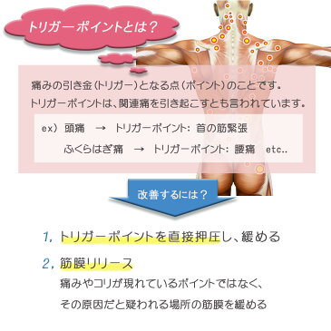 トリガーポイント マッサージボール ZCA-TBALL ラクロスボール 筋膜リリース ストレッチ コリ セルフケア