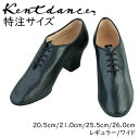 yTCYzKent Dance Pg_X eB[`[Y V[Y OCX p`ubN 20.5cm 21.0cm 25.5cm 26.0cm q[5cm Ќ_X bX   fB[X tbgV[Y  p Ќ_X C Y C KC bXC C L