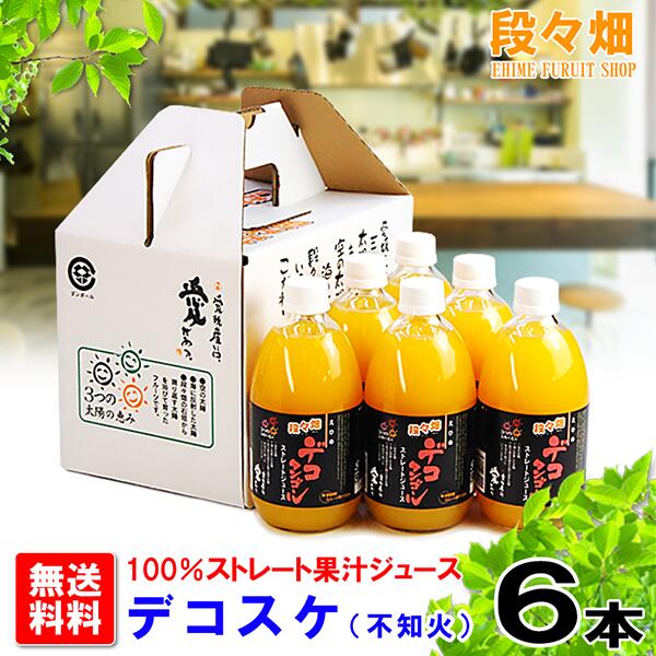 【送料無料】段々畑100