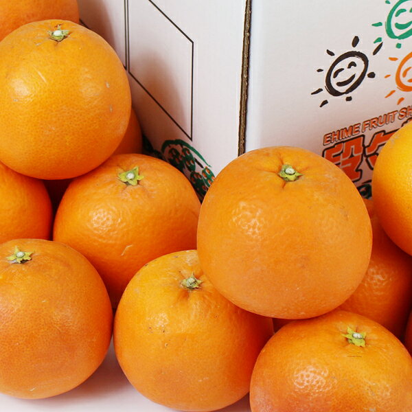 【入荷販売・指定日不可】【送料無料】愛媛県産 ブラッドオレンジ ご家庭用 5kg/みかん/蜜柑/オレンジ/柑橘/果物/フルーツ/お取り寄せ/グルメ/産地応援