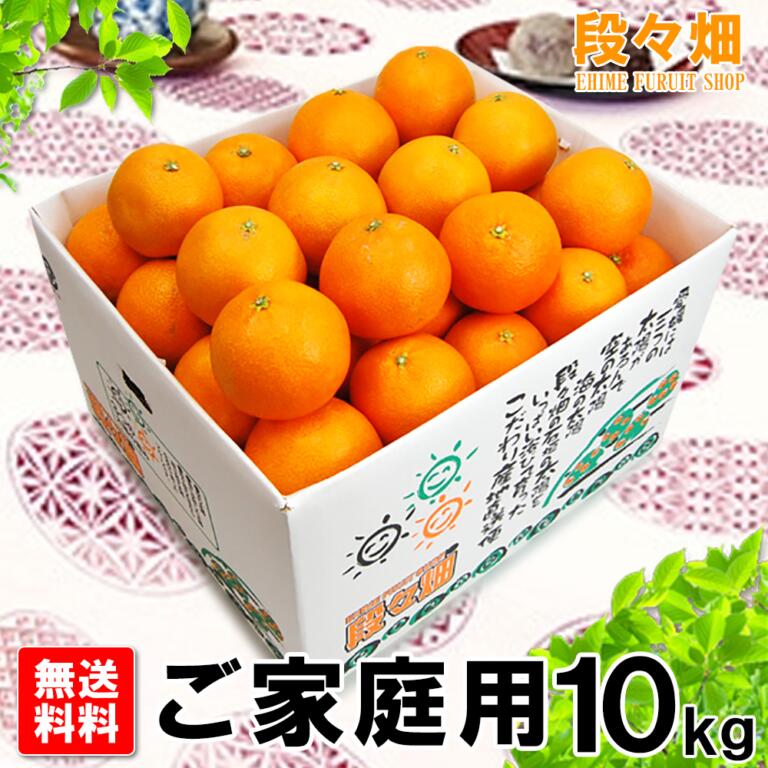 【送料無料】愛媛県産 媛まどんな ご家庭用10kg/みかん/蜜柑/オレンジ/柑橘/果物/フルーツ/お取り寄せ/グルメ/産地応援