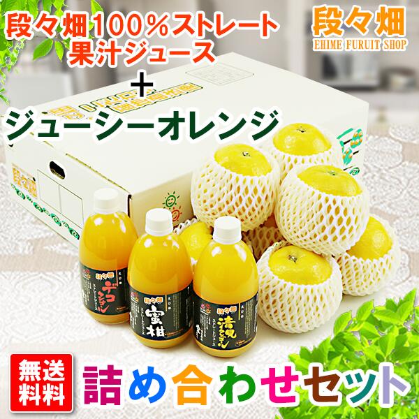 楽天愛媛フルーツショップ段々畑【送料無料】愛媛県産 ジューシーオレンジ・100％ストレート果汁ジュース セット/河内晩柑と同一品種/みかん/蜜柑/オレンジ/柑橘/果物/フルーツ/ギフト/お中元/お取り寄せ/グルメ/産地応援