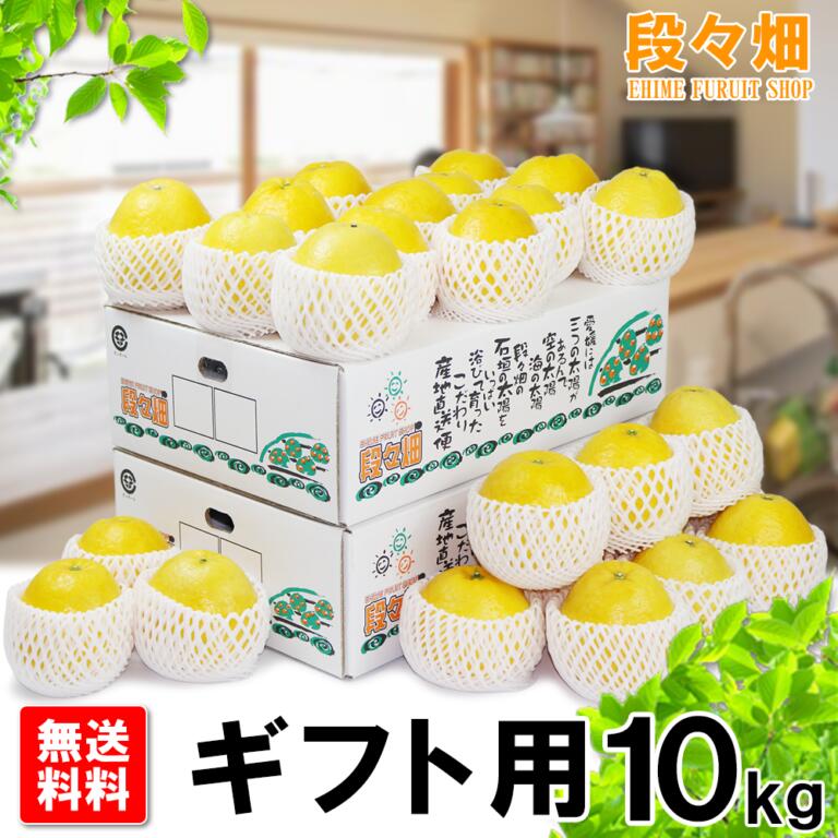 【送料無料】愛媛県産 ジューシーオレンジ ギフト用 10kg