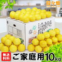 愛媛県産 ニューサマーオレンジ ご家庭用 10kg/日向夏や小夏と同一品種/みかん/蜜柑/オレンジ/柑橘/果物/フルーツ/お取り寄せ/グルメ/産地応援