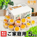 【予約商品・指定日不可】10月上旬より出荷【送料無料】愛媛県産 刀根柿 ご家庭用 5kg/果物/フルーツ/お取り寄せ/グルメ/産地応援