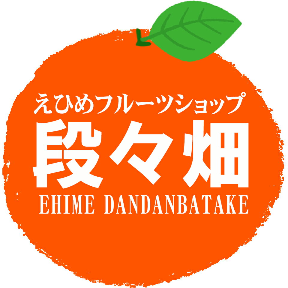 Shop icon