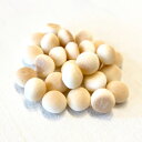 ボンルパ 京シリーズ 山羊みるくぼーろ 50g 【 犬用おやつ ドッグフード 国産 トリーツ Bon rupa 】M-01