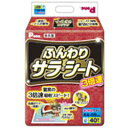 ※ご注意※ こちらは取寄せ商品のため納期は1週間前後になります。 驚異の3倍速吸収スピード。 ふわふわの厚型ペットシーツです。 シートサイズ：44×59(cm) 40P×4個セット-キーワード- 第一衛材 わんわんサラ・シート 犬用 ペット用 トイレシート 介護 マナー用品 トイレシーツ 厚型