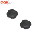 ルーフシリーズ(roofシリーズ)エンドキャップ(2個入り)EDC-0031424A802 補修用エ ...