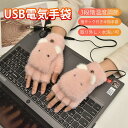 電気手袋 電熱グローブ ヒーター手袋 USB加熱 かわいい ヒーターグローブ ヒーター手袋 手ぶくろ 指サック付き 半指手袋 防寒 3段階温度調節 メンズ レデ...