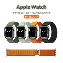 【在庫処分】Apple Watch ultra Series9 8 7 1 2 3 4 5 6 バンド Apple WatchSE ベルト スポーツ ナイロン ...