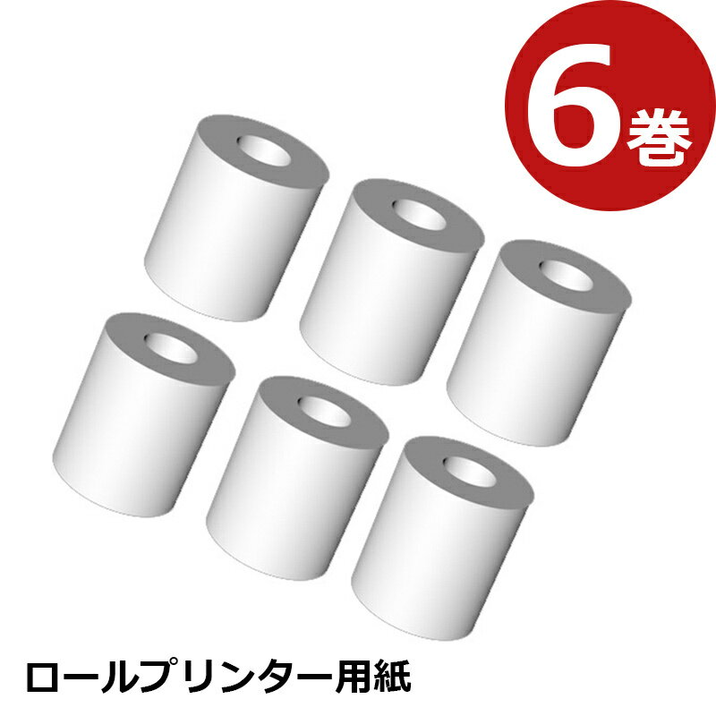 【6ロール】ロールプリンター用紙