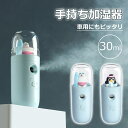 微粒子ミスト お肌の乾燥対策 加湿器 小型 30ml ポータブル加湿器 USB充電式 ハンディーミスト スキンケア スチーマー スチーム 顔 携帯ミスト ナノス...