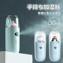 微粒子ミスト お肌の乾燥対策 加湿器 小型 30ml ポータブル加湿器 USB充電式 ハンディーミスト スキンケア スチーマー スチーム 顔 携..